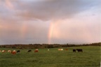 RaithRainbow.jpg