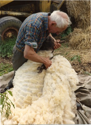 Loading Image